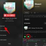 Descarga podcasts de Spotify en formato mp3 con estos simples pasos